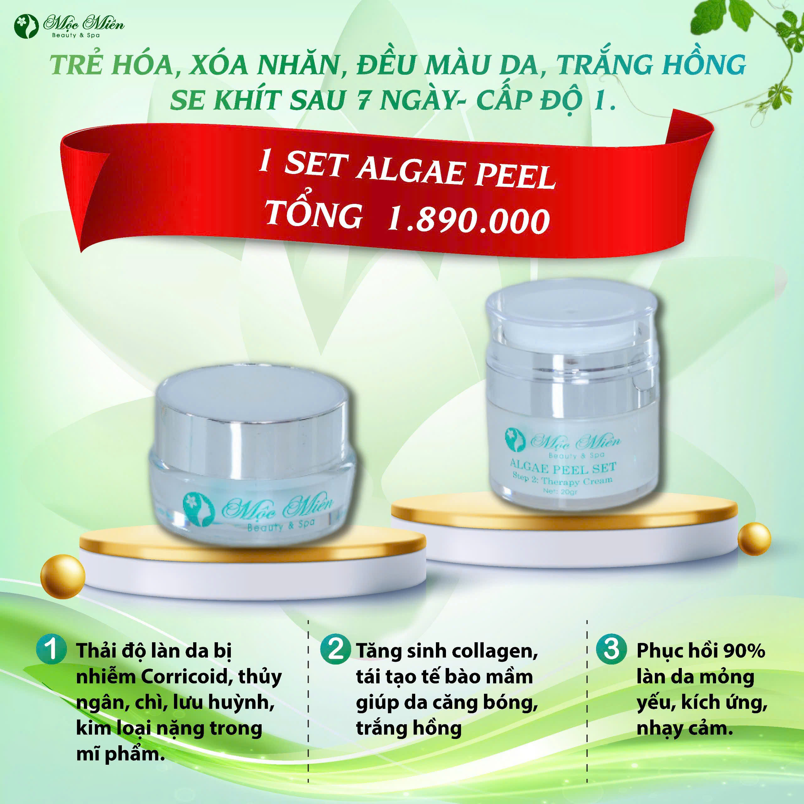 1 SET ALGAE PEEL
